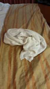 When we got back to the cabin, someone had folded our towel into an animal shape. I had to use it before I thought about taking the picture though.